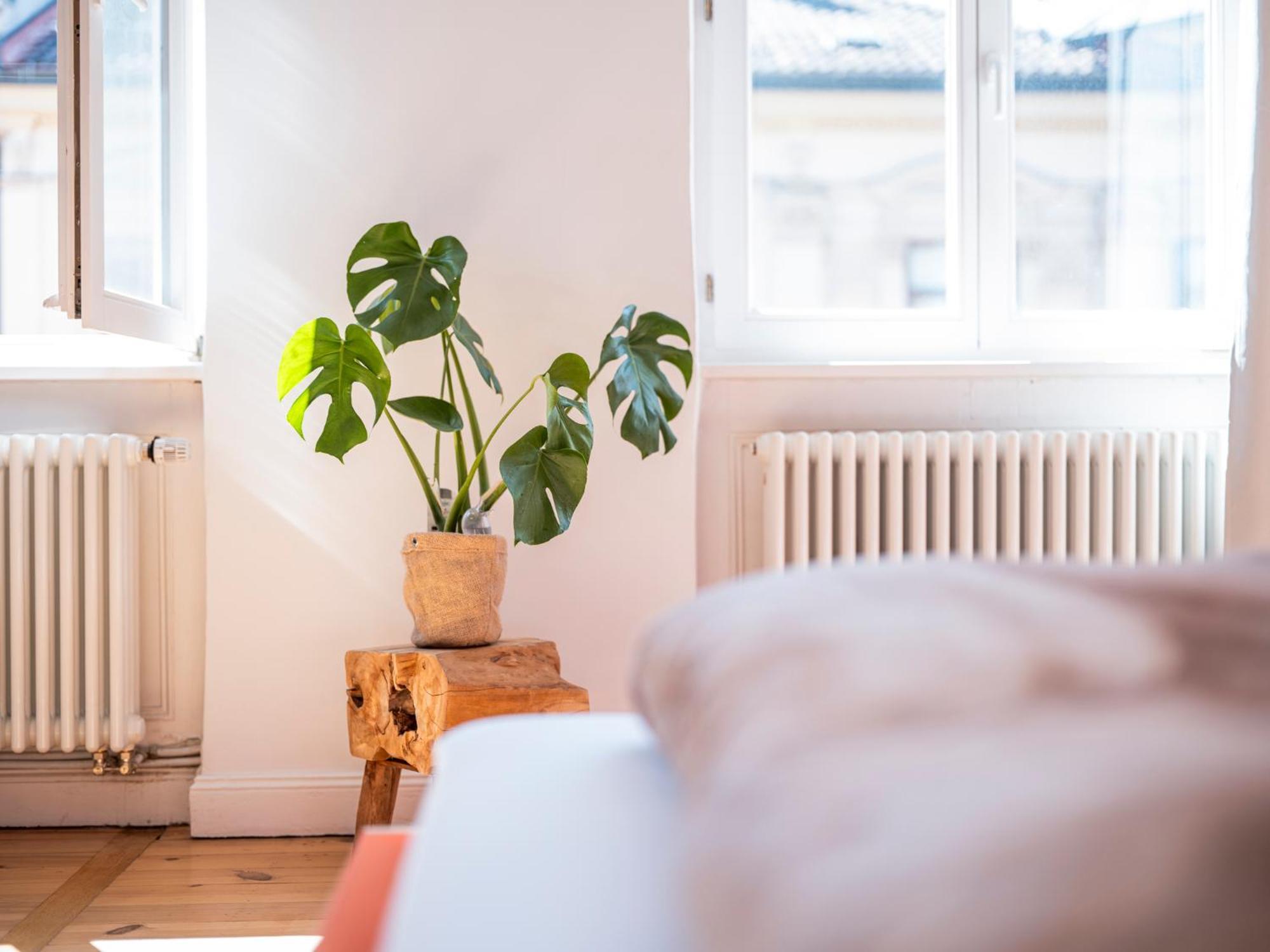Bunter Hund Apartments - Balkon, Zentral, Geraeumig Bamberg Bagian luar foto